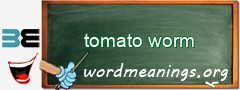 WordMeaning blackboard for tomato worm